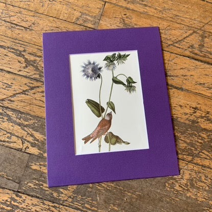 Book Art, Bird with Flowers