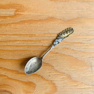 Local Find, Mt. Tacoma, Tacoma Souvenir Spoon