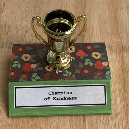 Everyday Trophy, Champion of Kindness