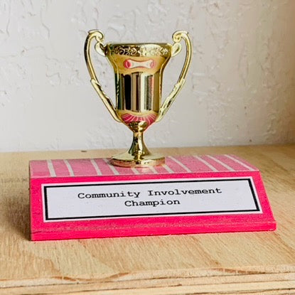 Everyday Trophy, Community Involvement Champion